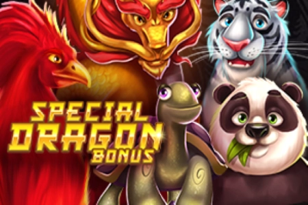 Special Dragon Bonus 3×3