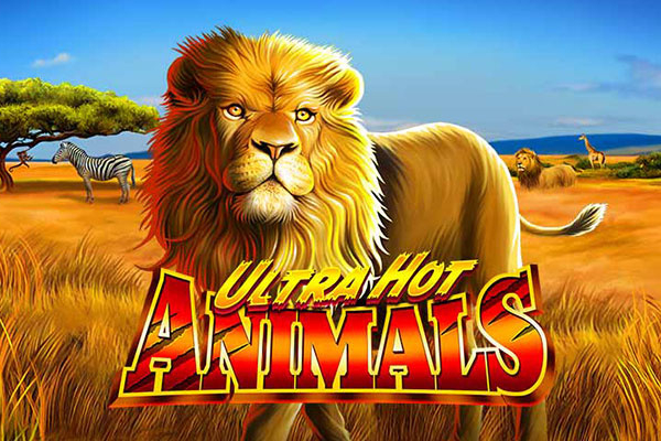 Ultra Hot Animals
