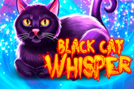 Black Cat Whisper