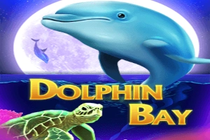 Dolphin Bay