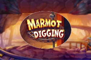 Marmot Digging