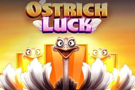 Ostrich Luck