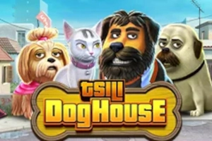 TSILI Dog House
